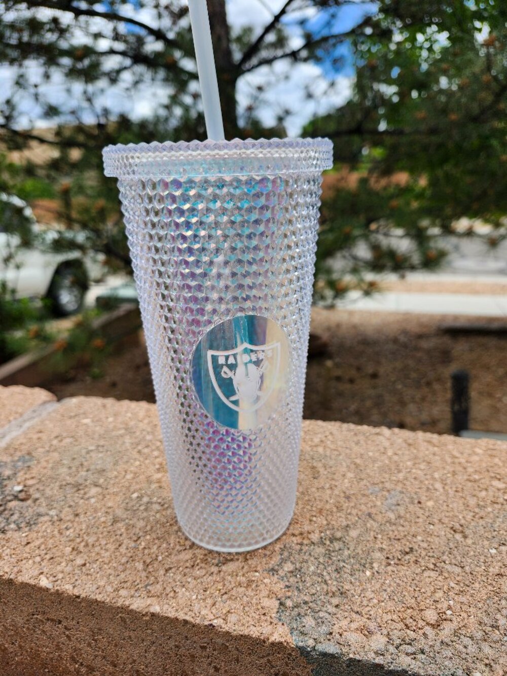 Las Vegas Raiders Tumbler Double Wall Hard Plastic Cup NFL Clear/Iridescent